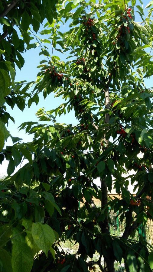 Klever-Ok Nerubayskoye Εξωτερικό φωτογραφία
